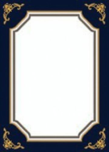 Corporate · Navy